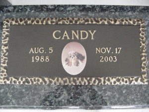 bronze pet memorial on granite custom