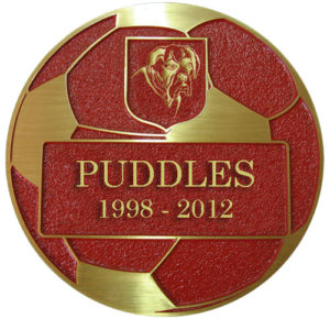 custom pet bronze soccerball