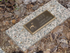 bronze on granite Pet