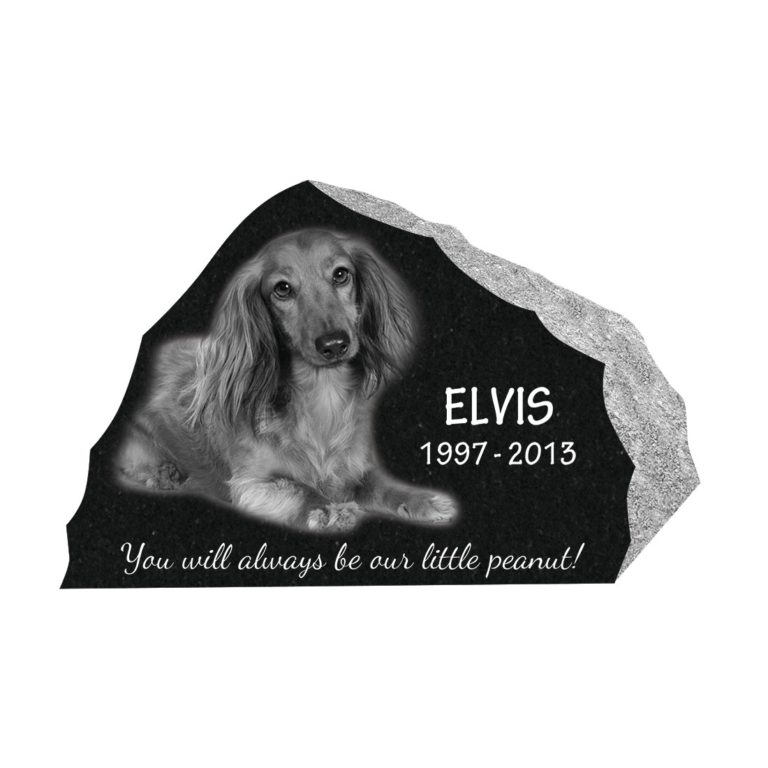 pet wedge marker 14"x6"x0-9.5"